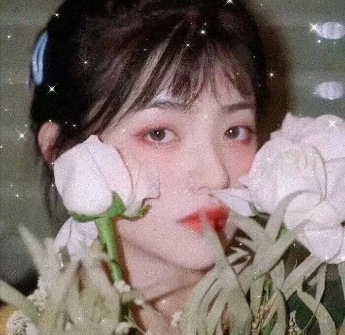豪姬